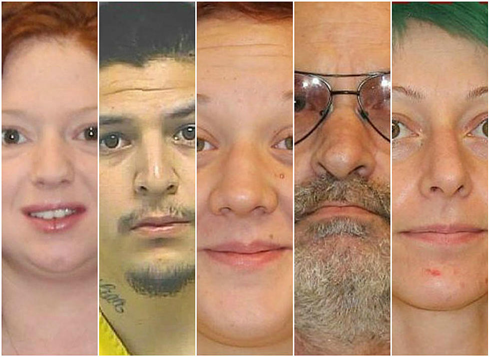 Have You Seen Mesa County’s Most Wanted? [PHOTOS]