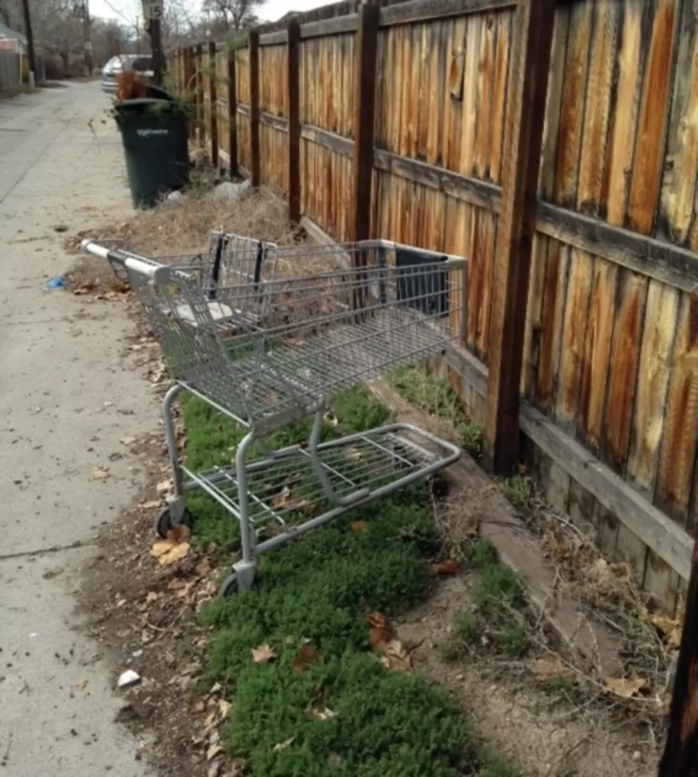 Grand Junction’s Homeless Shopping Carts Need Loving Home