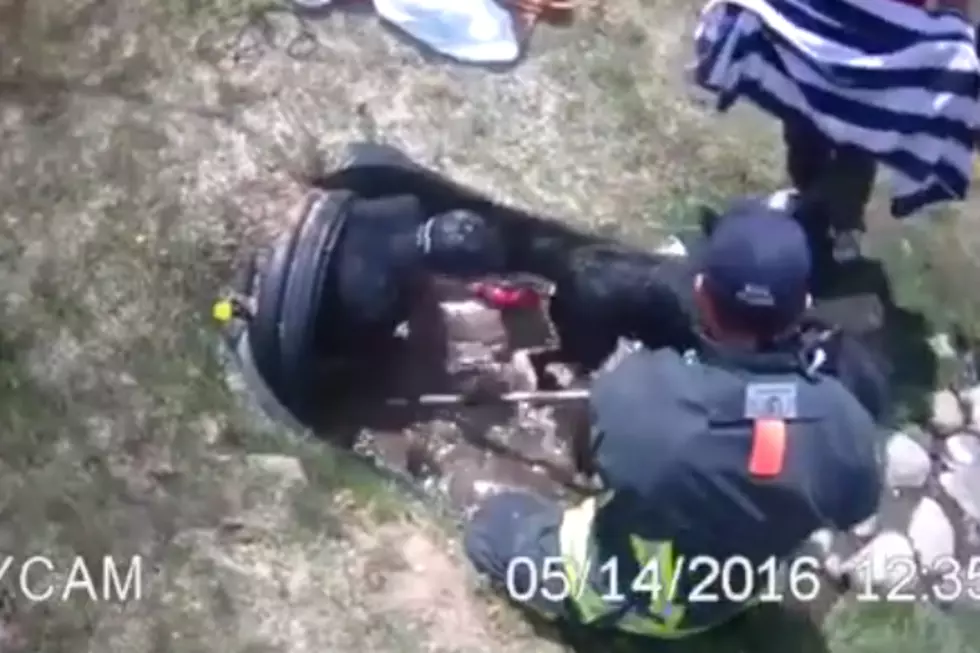 Dog Miraculously Rescued From 60-foot Pipe in Steamboat Springs