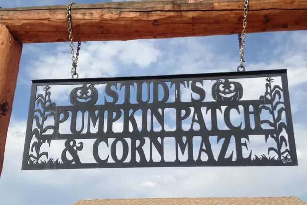 Great News for Studt&#8217;s Haunted Corn Maze
