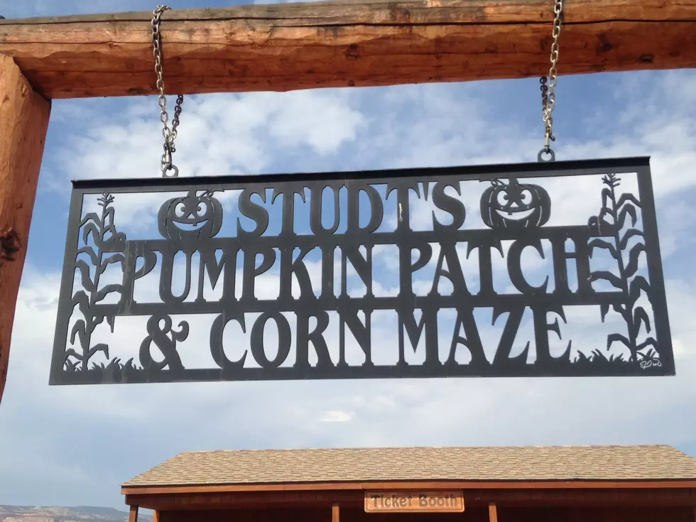 Video Of Grand Junction Pumpkin Patch Getting Down