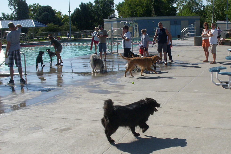 Details on Dog Days at Lincoln Park-Moyer Pool in Grand Junction