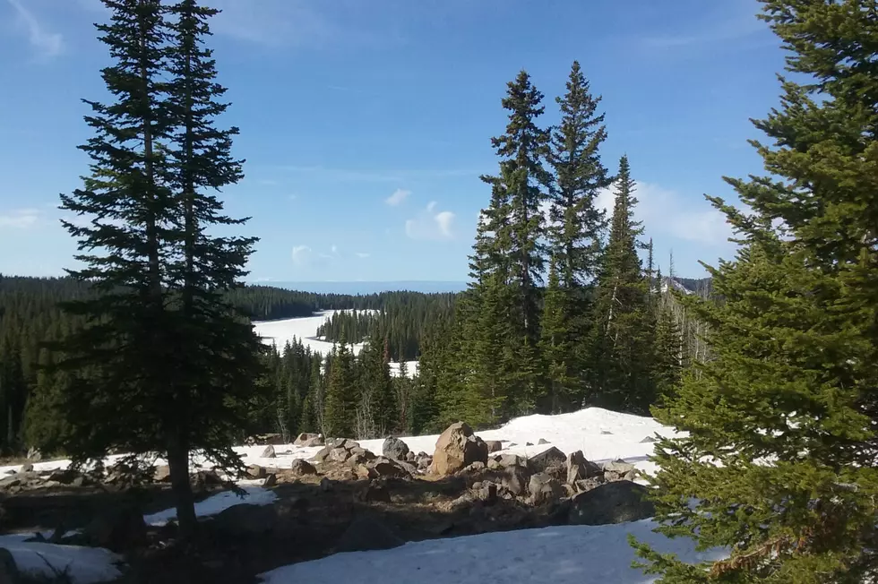 Make a Point to Head Up the Grand Mesa This Weekend