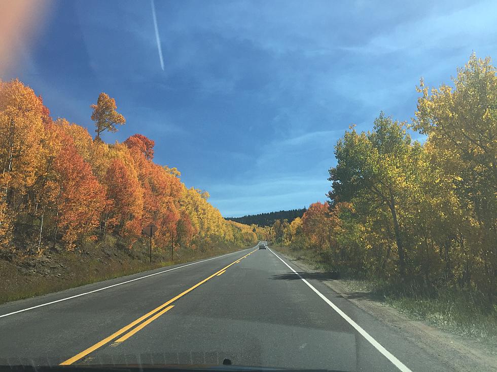 Enjoy The Scenery On These Beautiful Colorado Drives