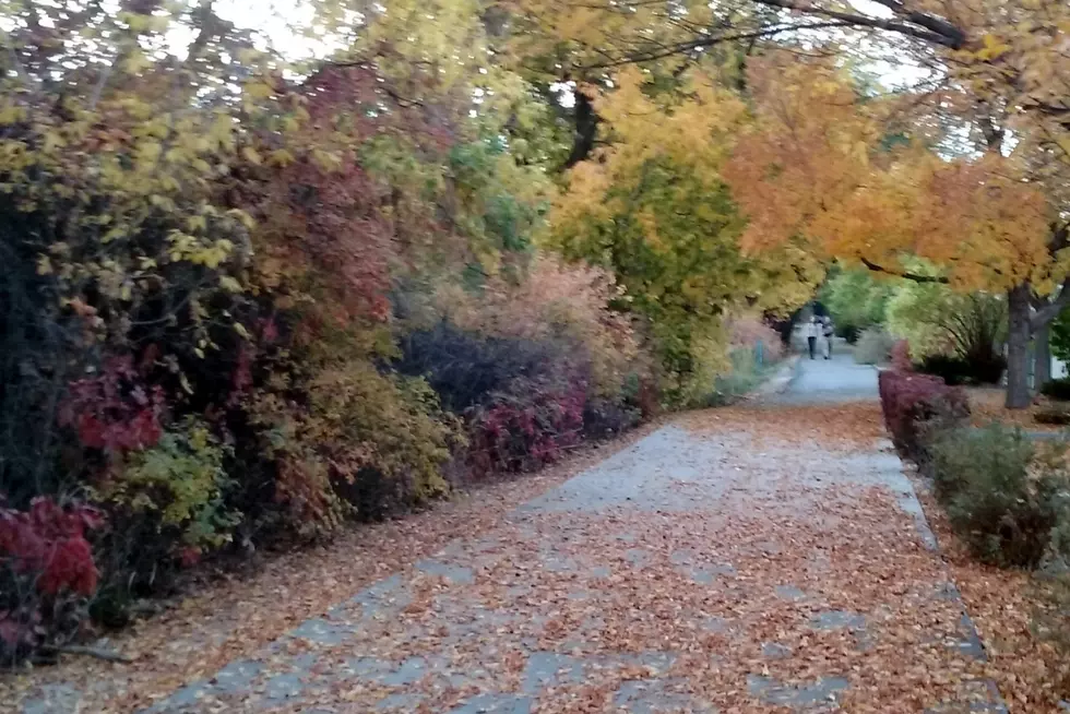 Fall Has Fallen on Grand Junction&#8217;s Audubon Trail