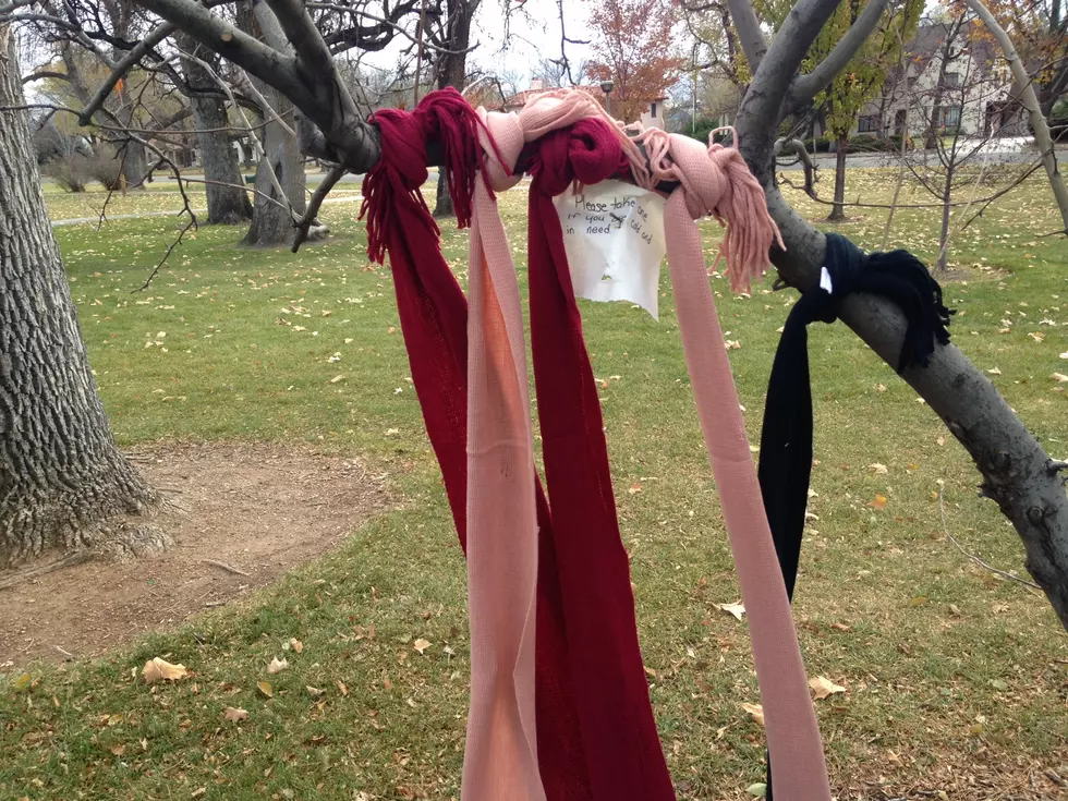 Scarves On A Tree In GJ?