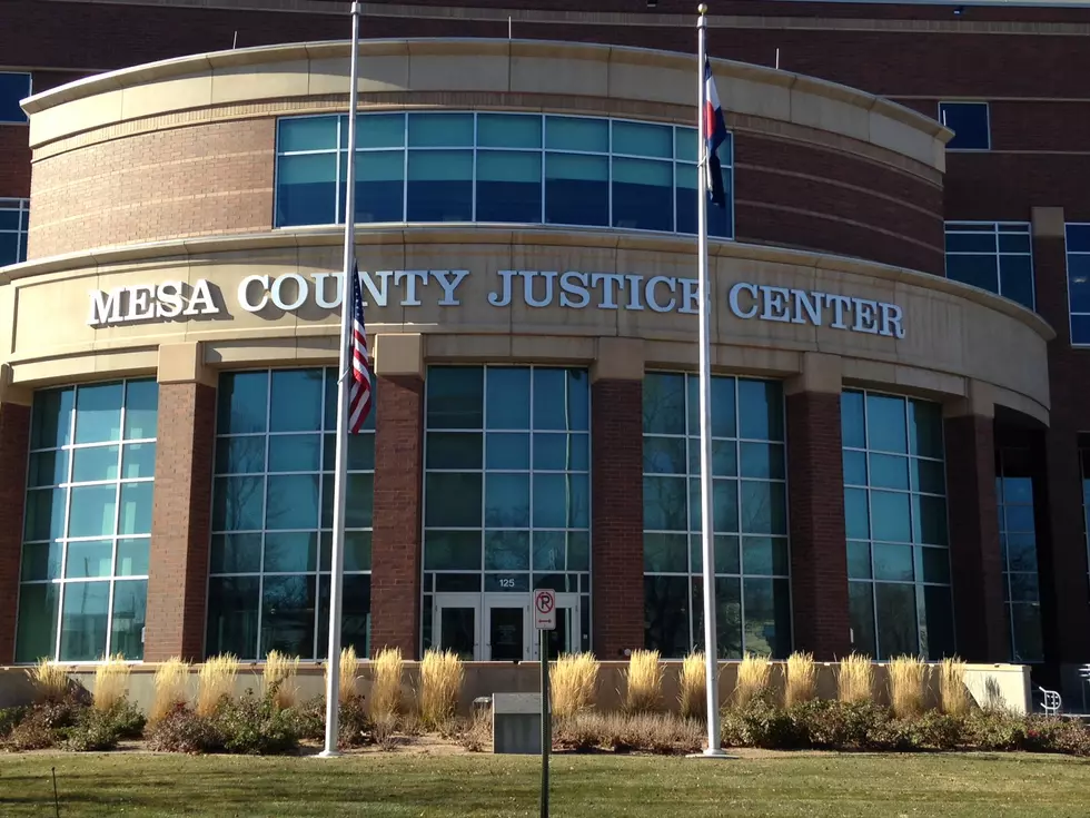 New Mesa County Court Judge