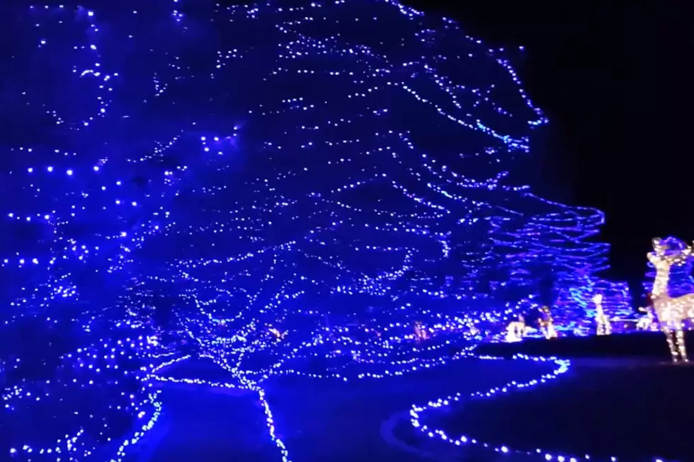 Take a Ride Through Grand Junction’s ‘Blue Forest’ Christmas Light Display