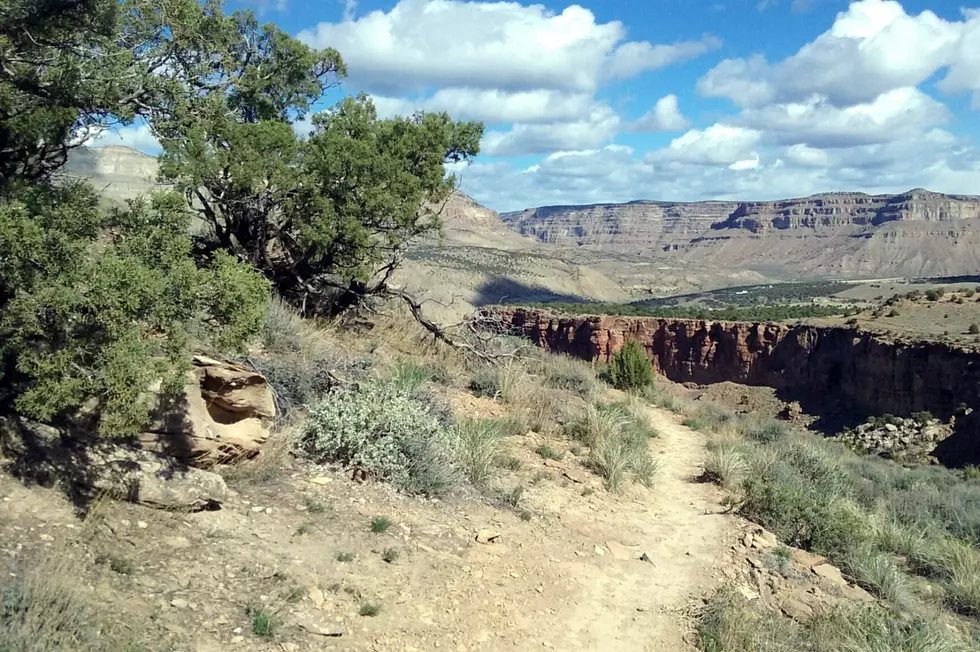 Palisade Rim Trail Offers The Perfect Spring Hike
