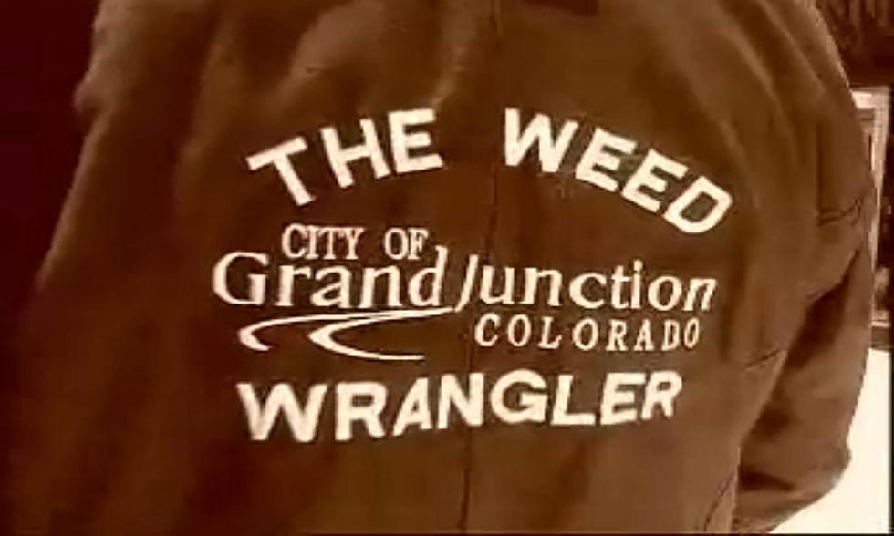 Remember The Grand Junction Weed Wrangler?