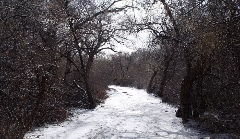 Celebrate This Week’s Snow With These Awesome Grand Junction Hikes