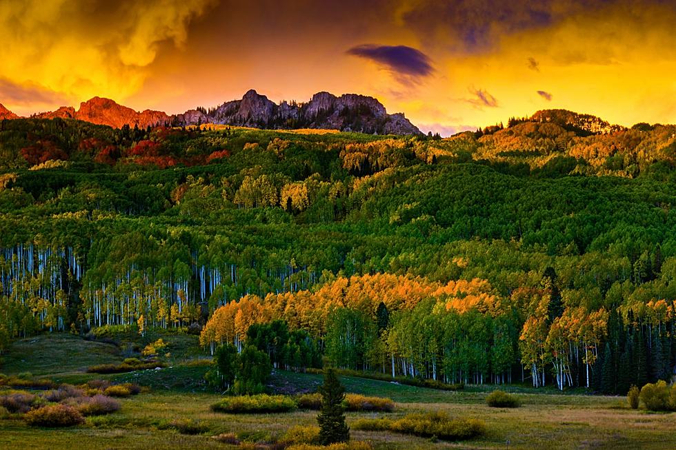 Fall Color Drive: Colorado's Kebler Pass
