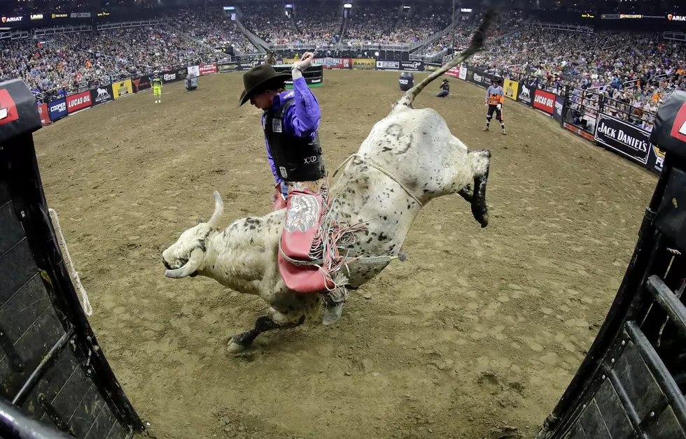 Bull Rider Injured and Dies At National Western Stock Show In Denver