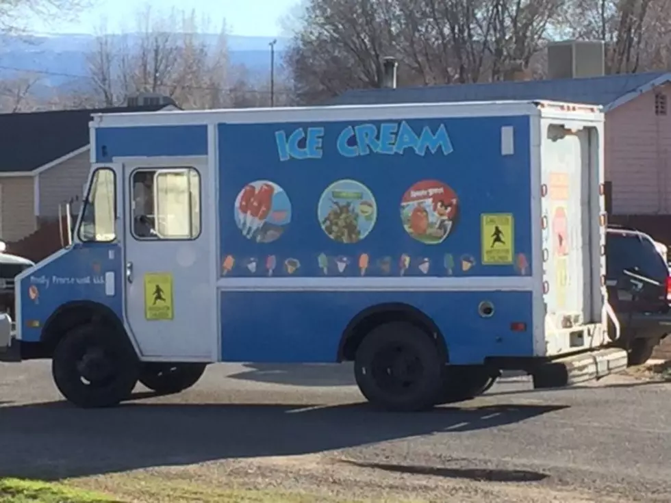 Five Reasons You Need an Ice Cream Truck in Grand Junction