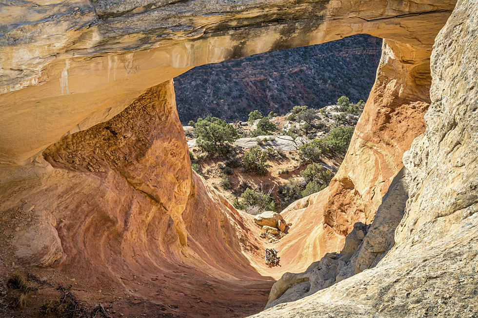 Spring Hikes: Western Colorado’s Rattlesnake Arches
