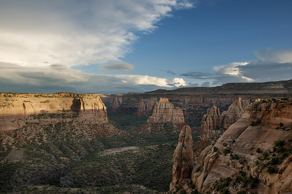 Car Drives Off Cliff in Colorado National Monument