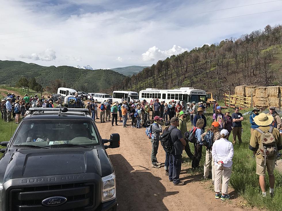 Hundreds Help Reseed Basalt Mountain