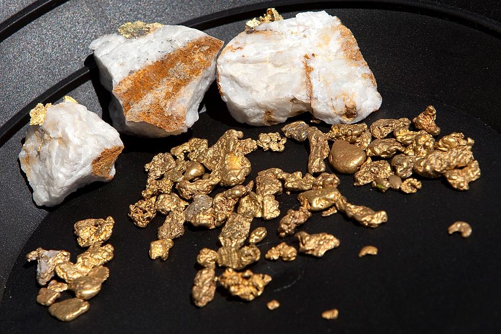 Three Places You Can Go Gold Prospecting in Colorado