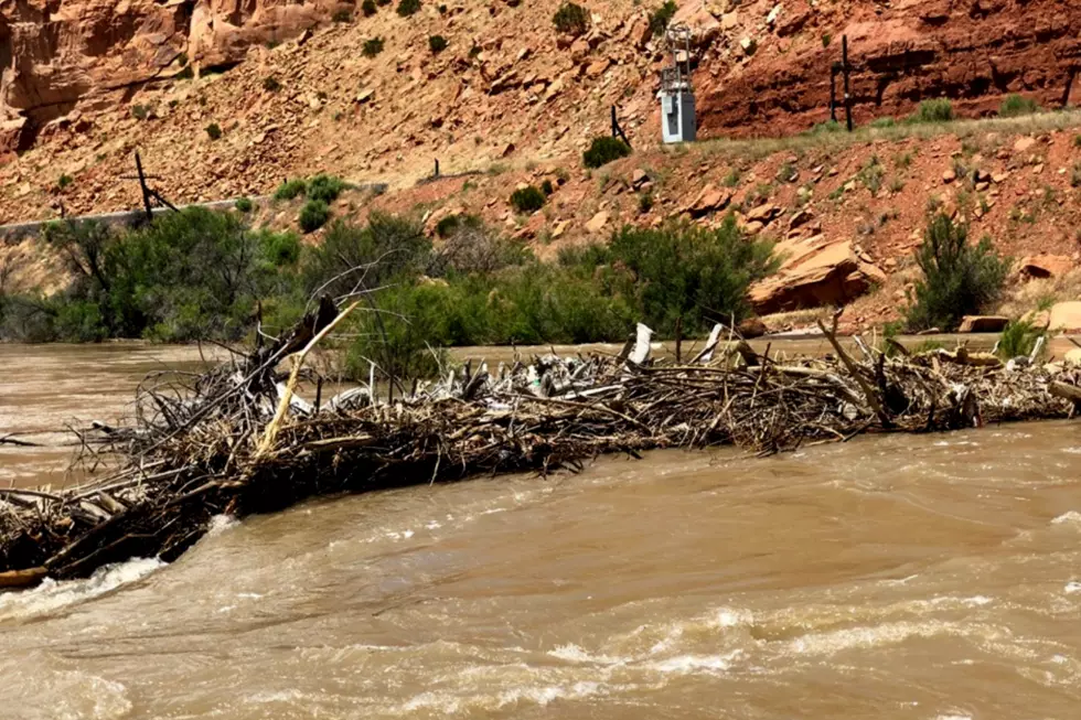 Logjam Alert! Be Extra Careful on Colorado Rivers