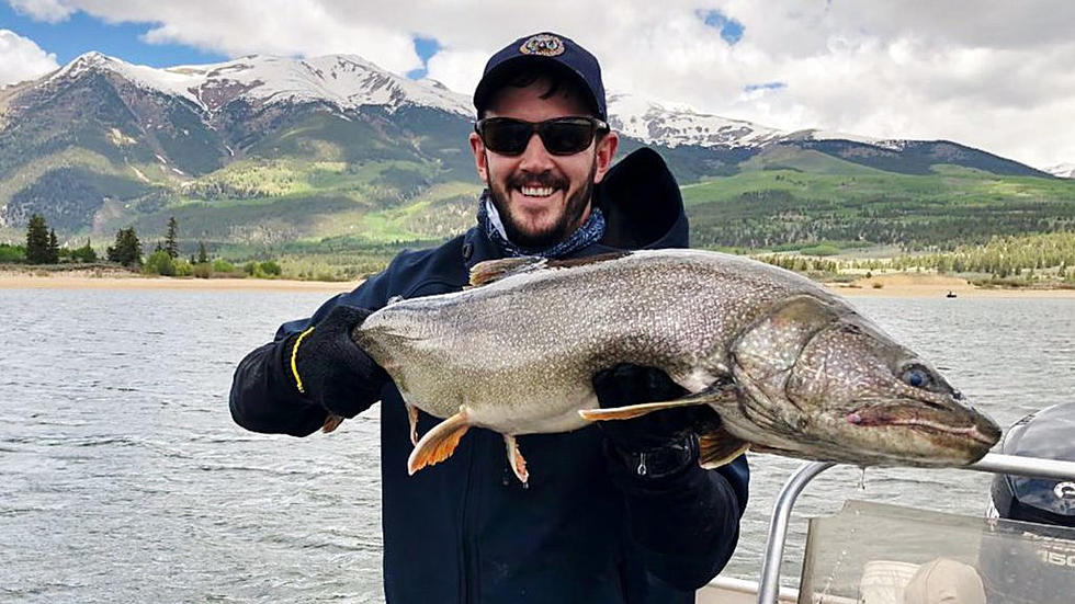 Huge Trout Caught In Colorado