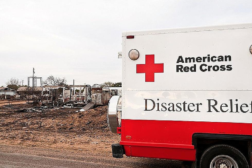 You Can Help Australian Wildfire Victims From Here in Colorado