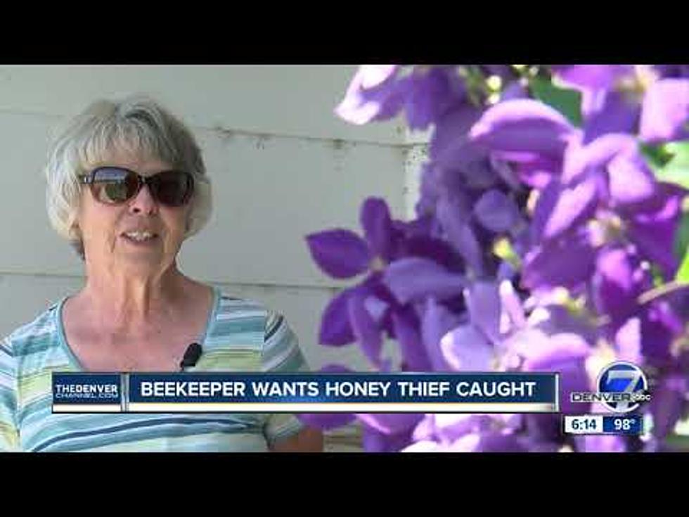 Do You Recognize This Couple Stealing Honey?