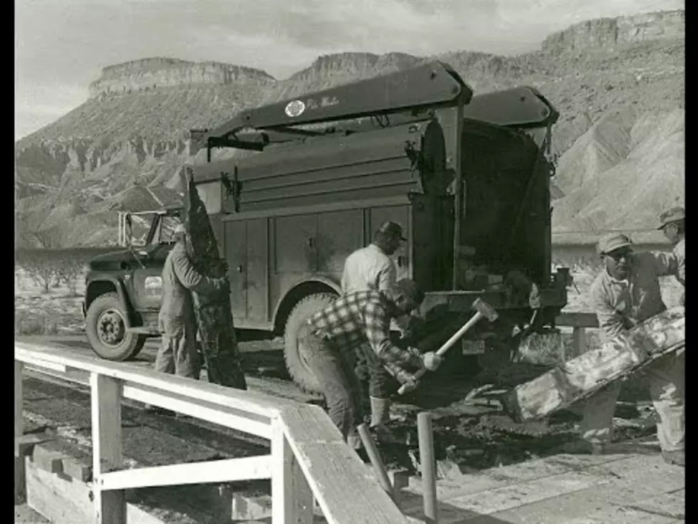 WATCH: Western Colorado Hard at Work – Robert Grant Photos
