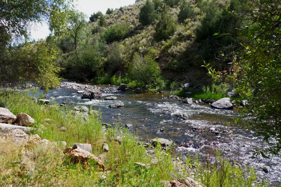 How’s it Looking On Western Colorado’s Cimarron River?