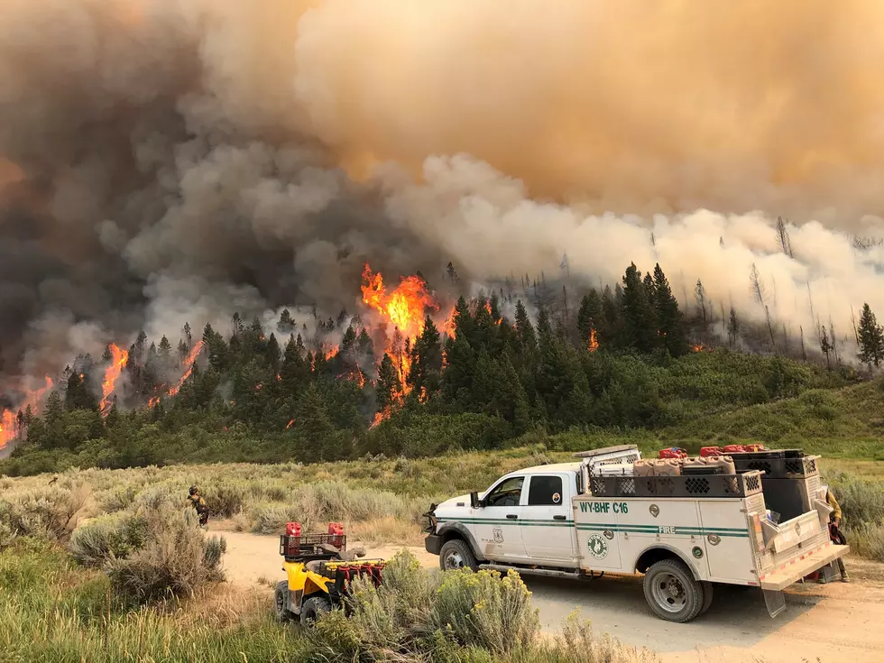 Pine Gulch Fire Now the Second-Biggest Fire in Colorado History