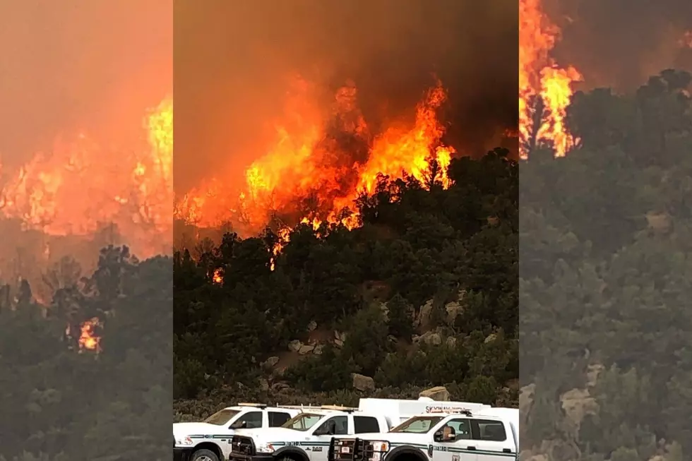 Pine Gulch Fire North of Grand Junction Now Over 11,000 Acres