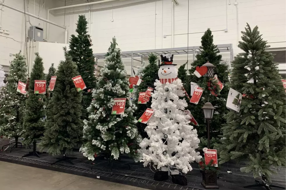 Grand Junction - Are You Ready to Put Up Christmas Decorations?
