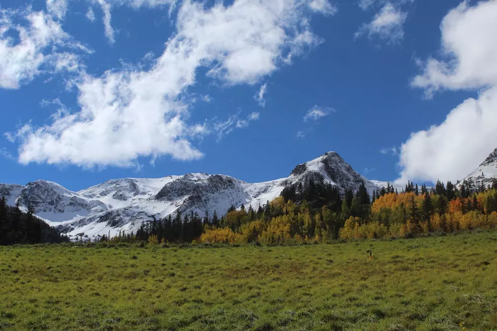 The Most Scenic Fall Color Drives in Colorado