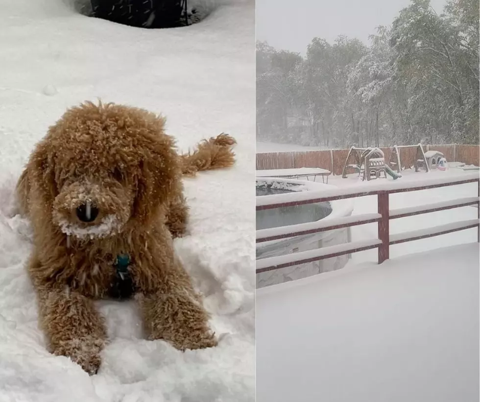 Photos All Over Western Colorado Showing Off the Snow Fall