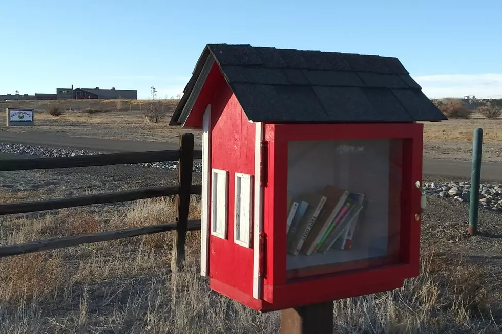 Reasons to Use Grand Junction’s ‘Little Free Libraries’