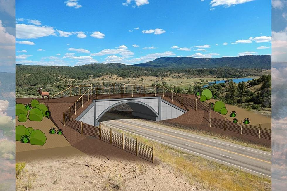 New Wildlife Crossing Being Built At Durango and Pagosa Springs
