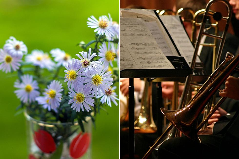 Top 5 Reasons to Buy Flowers and Support Grand Junction Symphony
