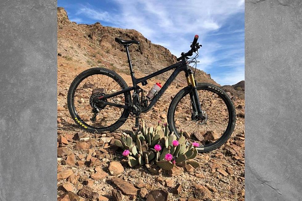 $1000 Reward for Mountain Bike Stolen from BaseCamp RV Resort in Palisade