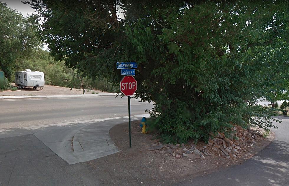TRIVIA: How Many Street Signs Will You Find in Grand Junction?