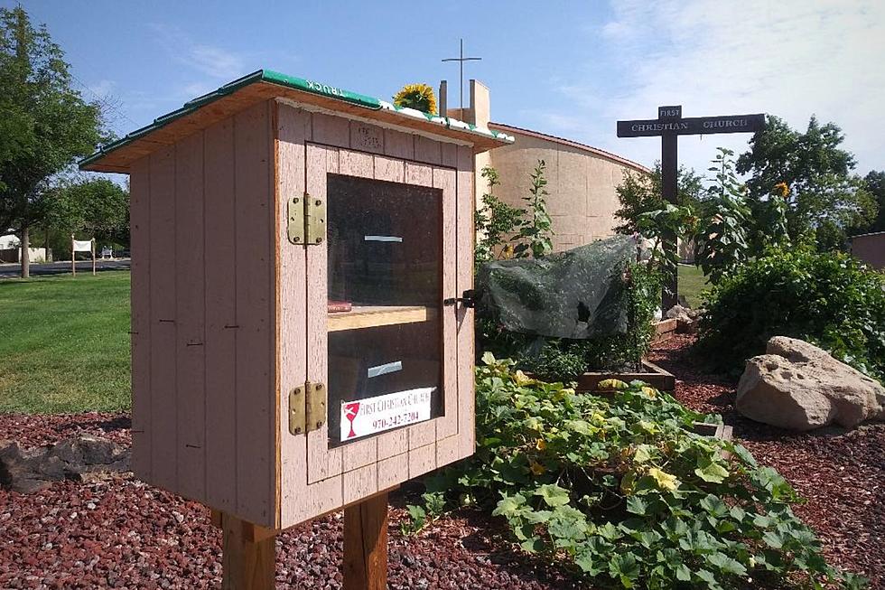 11 Awesome Titles You&#8217;ll Find at This Little Free Library in Grand Junction