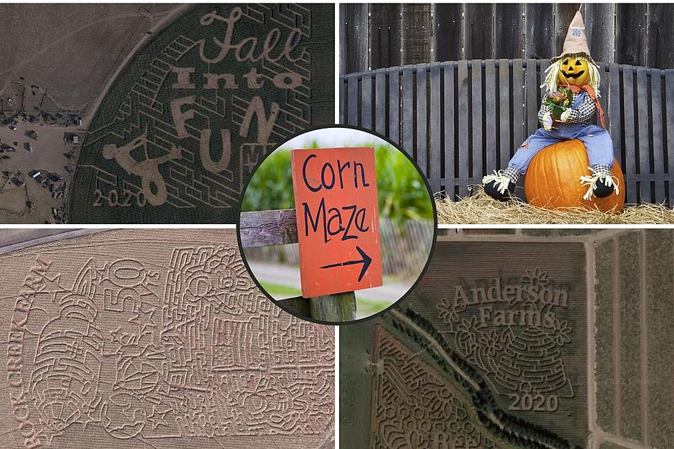 Test Your Skills With This List of Colorado Corn Mazes