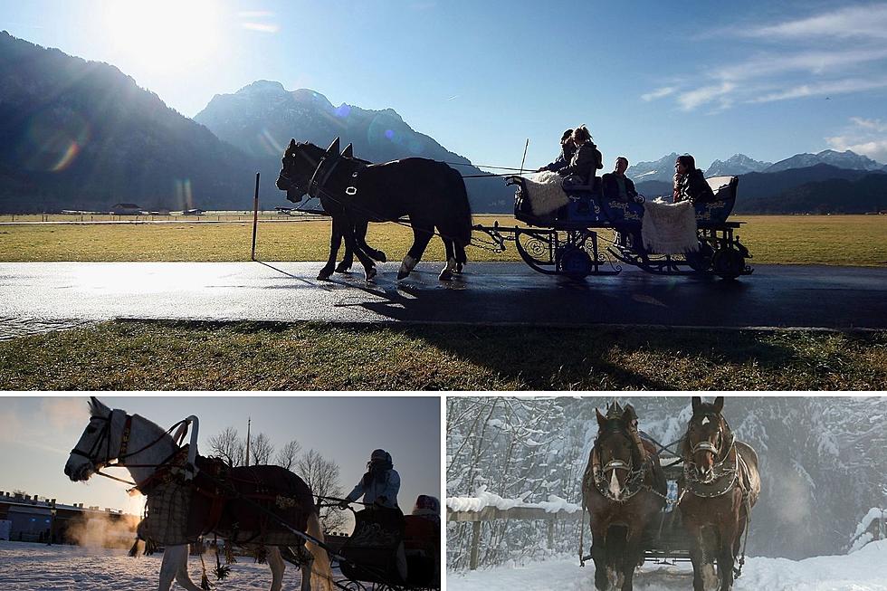 10 Colorado Sleigh Rides To Enjoy This Winter