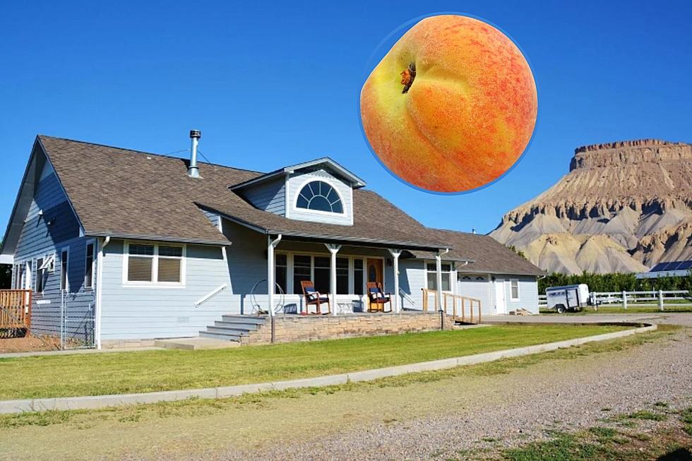 Beautiful Palisade Colorado Home Comes With Your Own Peach and Cherry Orchards