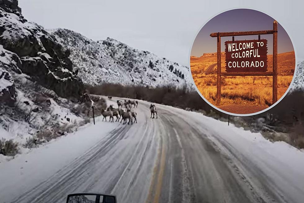 Sit Down & Shut Up – Winter Truck Driving in Colorado Loaded With Nope