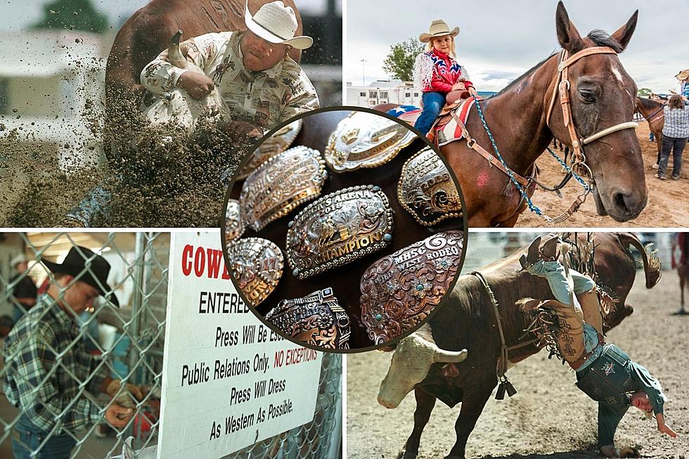 When + How to Attend Colorado’s Best Rodeos