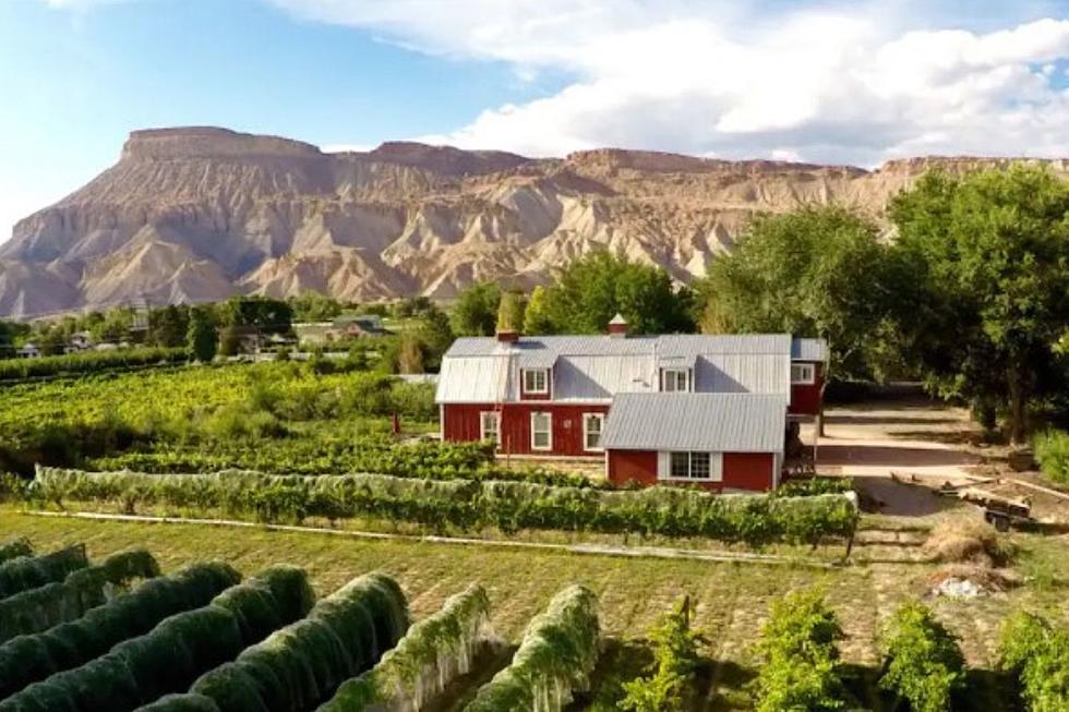 Enjoy Colorado Wine Country Living at this Airbnb Rental in Palisade