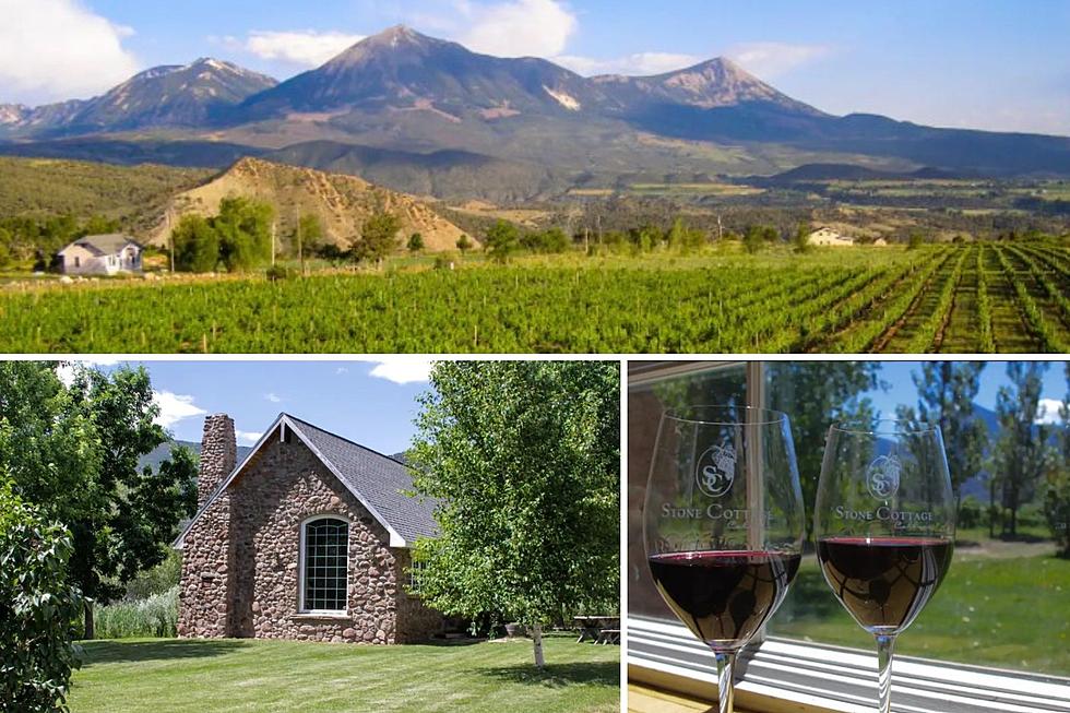 Stone Cottage Vineyard Airbnb Offers Amazing Views of Paonia Colorado