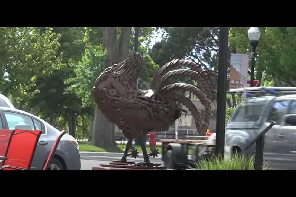 See Fruita Colorado&#8217;s Plans for the 2022 Mike the Headless Chicken Festival