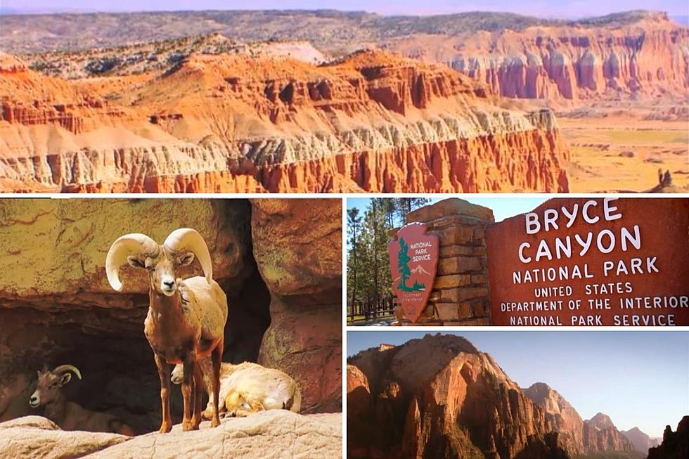 What Are the Five Utah National Parks?