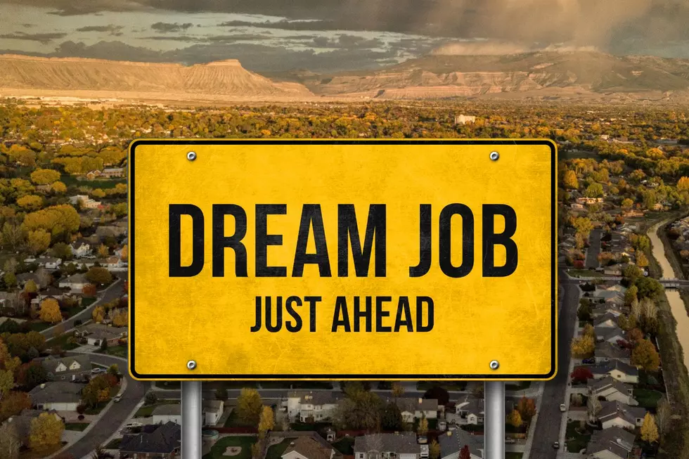 Grand Junction Wants to Pursue These Dream Jobs