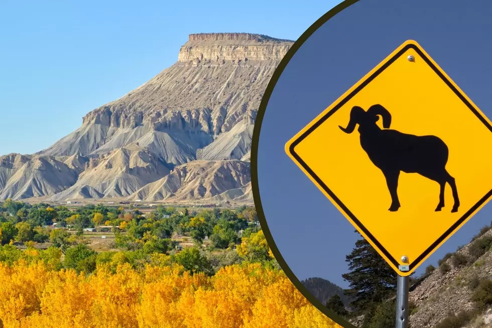 Can You Guess What is Grand Junction, Colorado’s Most Magical Place?